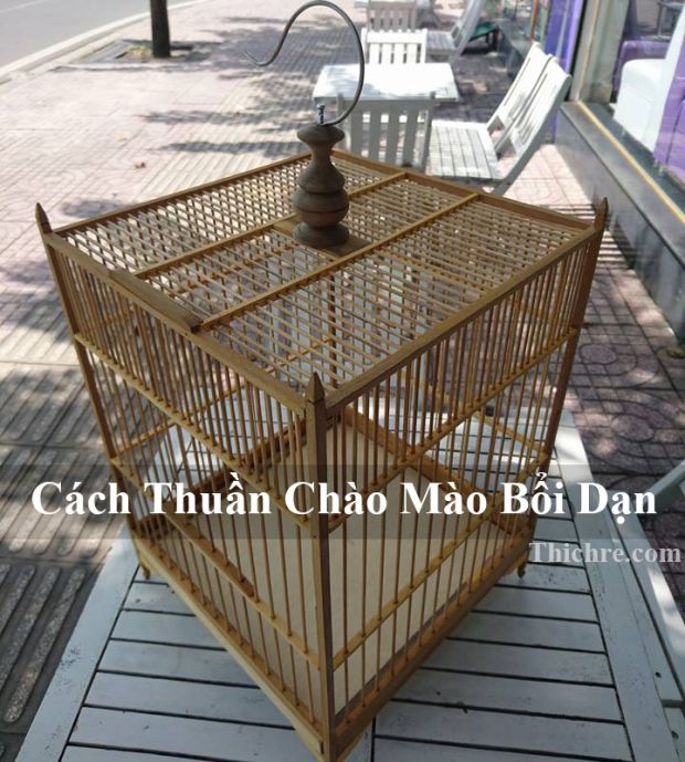 Sun Củ Chi - HoaiHan CM